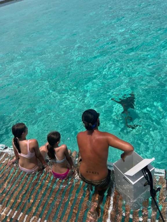 Image of PURELYBLU yacht #18