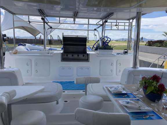 Seagulls eating our of our hand