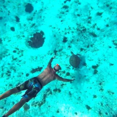 Crew of Nova|Aida Freediver
