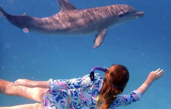 Image of SOME KIND OF WONDERFUL yacht #12