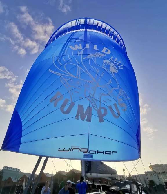 Image of WILD RUMPUS yacht #10