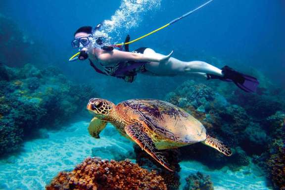 Image of STARRY NIGHT yacht #16