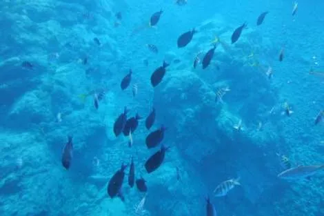 Review img # 32 of the yacht AZULIA II