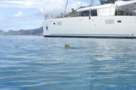 Review img # 39 of the yacht AZULIA II