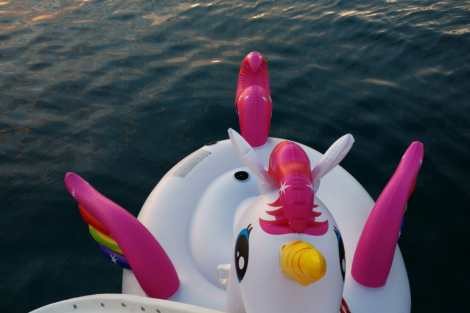 Review img # 29 of the yacht BEYOND STARDUST