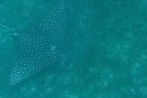 Review img # 5 of the yacht BEYOND STARDUST