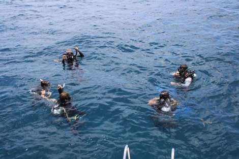 Review img # 13 of the yacht C’EST LA VIE