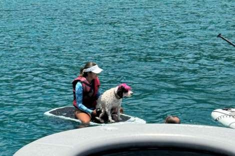 Review img # 5 of the yacht DRAGONFLY