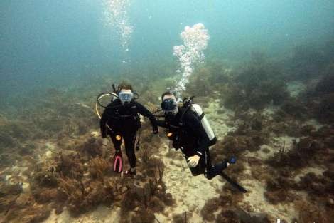 Review img # 2 of the yacht DRAGONFLY