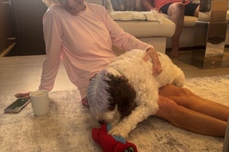 Review img # 14 of the yacht DRAGONFLY