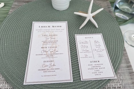 Review img # 26 of the yacht EARNOUT