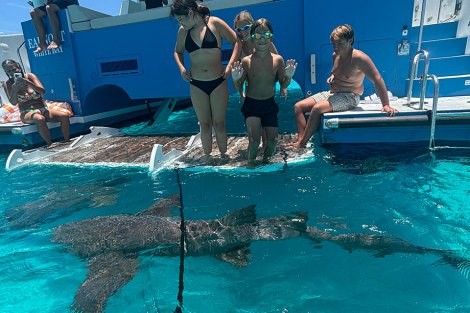 Review img # 7 of the yacht EARNOUT