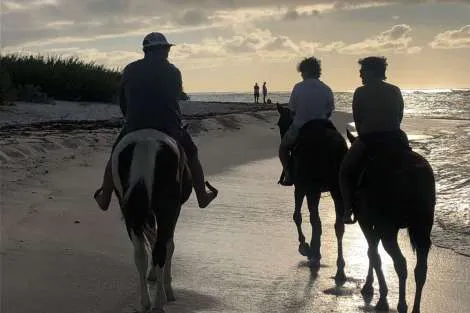 Review img # 46 of the yacht ELYSIUM