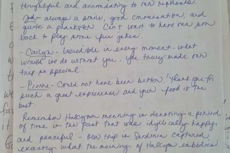 Review img # 1 of the yacht Halcyon