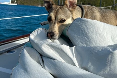 Review img # 7 of the yacht KAI