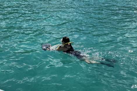 Review img # 20 of the yacht KASIOPEJA