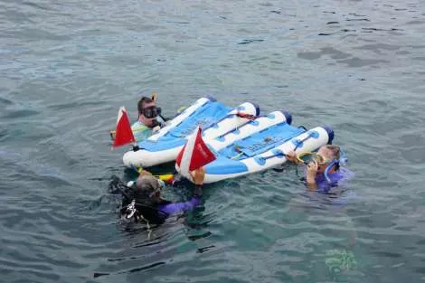 Review img # 68 of the yacht LADY FIONA