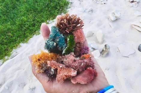 Review img # 4 of the yacht LADY MARIGOT