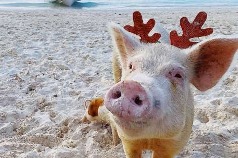 Review img # 93 of the yacht MUCHO GUSTO