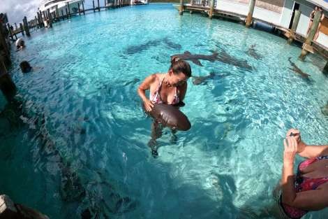 Review img # 88 of the yacht MUCHO GUSTO