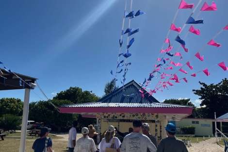 Review img # 4 of the yacht NO INHERITANCE