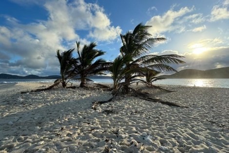 Review img # 32 of the yacht OHANA