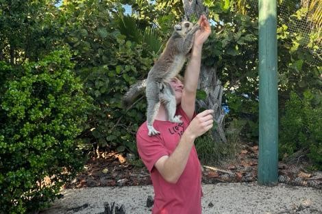 Review img # 2 of the yacht RESPITE AT SEA