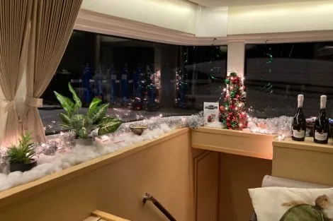 Review img # 21 of the yacht SOUTHERN COMFORT