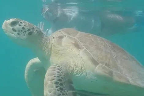 Review img # 3 of the yacht SOUTHERN COMFORT