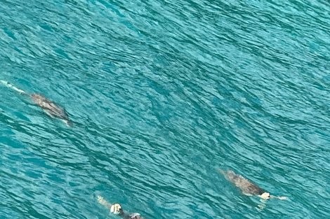 Review img # 2 of the yacht Southern Queen