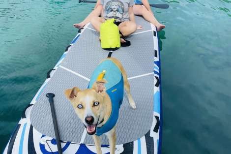 Review img # 62 of the yacht WHISKEY BUSINESS