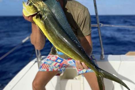 Review img # 41 of the yacht WHISKEY BUSINESS